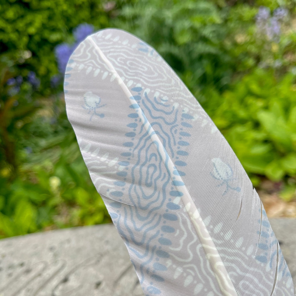 Jane Austen's House Exclusives